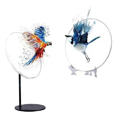 42cm HD Holograma Fans Holográfico para contenido Subir APP Proviniendo de líder