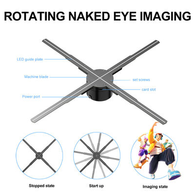 Ángulo de visión amplio 62cm Fan de pantalla de holograma para pantalla MP4/AVI/RMVB/GIF/JEPG/PNG/MKV